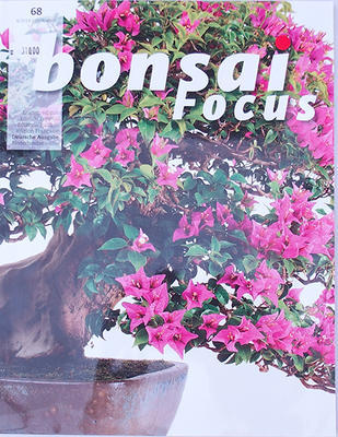 Bonsai focus - německy č.68 - 1