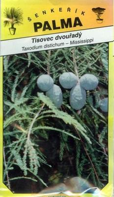 Tisovec dvojradový - Taxodium distichum