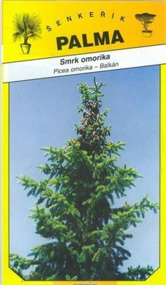 Smrek omorikový - Picea omorika