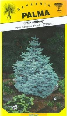 Smrek strieborný - Picea pungenc glauca