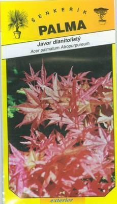 Javor dlaňolistý - Acer palmatum Atropurpureum