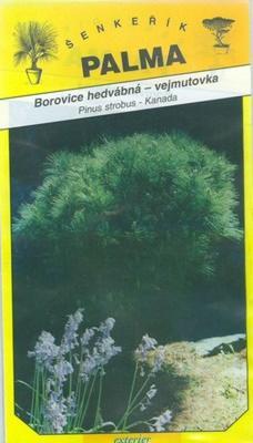 Borovica hodvábna vejmutovka - Pinus strobus