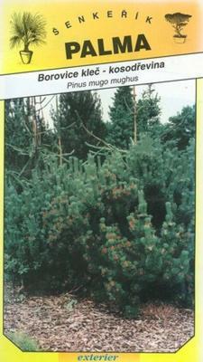 Borovica kleč- kosodreviny - Pinus mugo mugnus