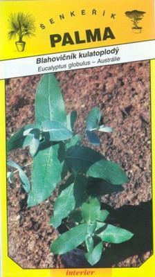   Eukalyptus guľatoplodý - Eucaliptus globulus