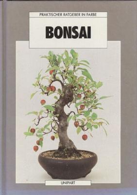 Bonsai - Anne Swinton