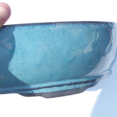 Bonsai miska 41 x 29 x 10 cm farba modrá - 2