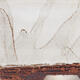 Keramická bonsai miska 12 x 10,5 x 5,5 cm, farba biela - 2/3