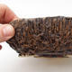 Keramická bonsai miska - pálenie v plynovej peci 1240 ° C - 2/4