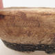Keramická bonsai miska 15,5 x 15,5 x 5 cm, farba režná - 2.akosť - 2/3