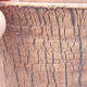 Keramická bonsai miska 12,5 x 12,5 x 16 cm, farba režná - 2/3