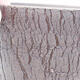 Keramická bonsai miska 14,5 x 14,5 x 12,5 cm, farba čierna - 2/3