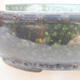Keramická bonsai miska 17,5 x 17,5 x 5 cm, farba zelená - 2/3
