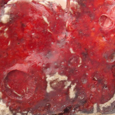 Keramická Škrupina 6,5 x 6 x 3 cm , farba červená - 2