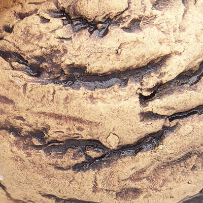 Keramická Škrupina 11 x 11 x 6 cm, farba prírodná čierna - 2