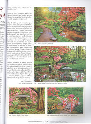 Bonsaje a Japonské záhrady č.66 - 2