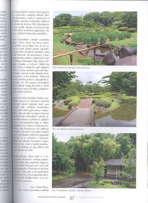 Bonsaje a Japonské záhrady č.68 - 2