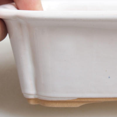 Bonsai miska H 50 - 16,5 x 12 x 6 cm, biela - 2