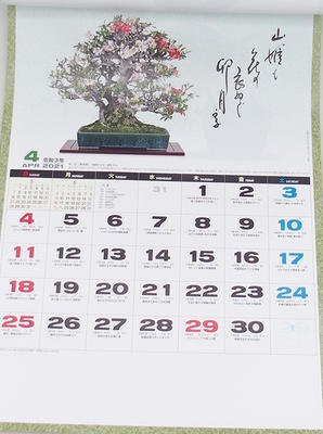Bonsai nástenný kalendár 2021 - 2