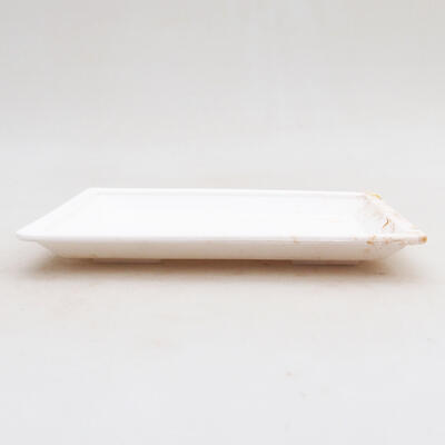 Bonsai podmiska plast PP-1 biela 15 x 11 x 1,8 cm - 2