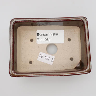 Bonsai miska - 3