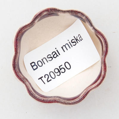 Mini bonsai miska 3,5 x 3,5 x 2 cm, farba červená - 3