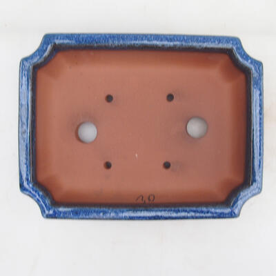 Bonsai miska 22 x 16,5 x 4 cm, farba modrá - 3