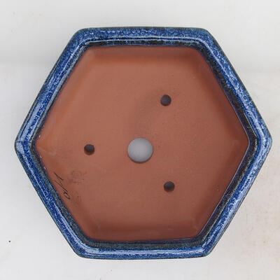 Bonsai miska 16 x 14 x 5 cm, farba modrá - 3