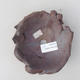 Keramická bonsai miska 11 x 11 x 5 cm, farba režná - 2.akosť - 3/3