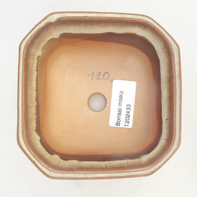Bonsai miska 11 x 11 x 6,5 cm, farba hnědobéžová - 3