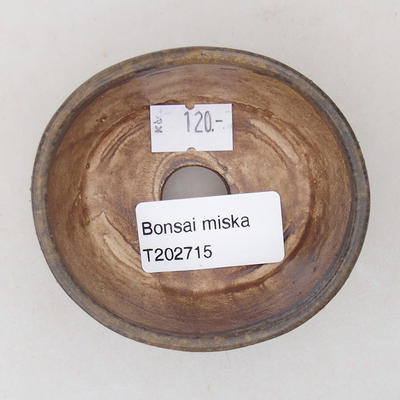 Keramická bonsai miska 7,5 x 6,5 x 3,5 cm, farba hnedá - 3
