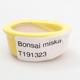 Mini bonsai miska 4,5 x 4 x 2 cm, farba žltá - 3/3