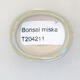 Mini bonsai miska 4 x 3,5 x 1,5 cm, farba modrá - 3/3