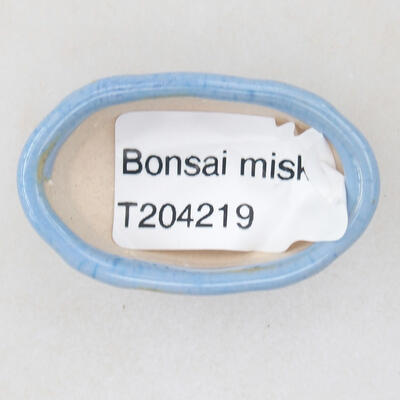 Mini bonsai miska 4 x 2,5 x 1,5 cm, farba modrá - 3