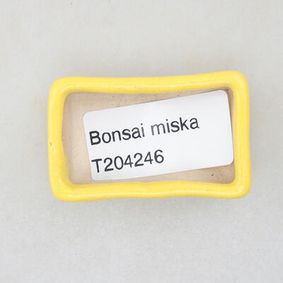 Mini bonsai miska 4,5 x 2,5 x 1,5 cm, farba žltá - 3