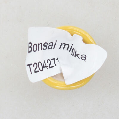 Mini bonsai miska 2 x 2 x 1,5 cm, farba žltá - 3