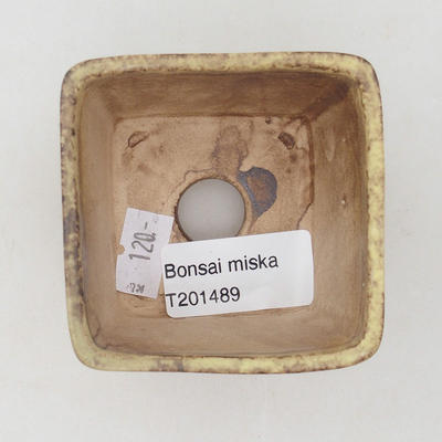 Keramická bonsai miska 6,5 ​​x 6,5 x 5 cm, farba hnedožltá - 3