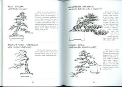 Kniha bonsai nielen v paneláku - 3