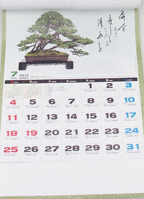 Bonsai nástenný kalendár 2021 - 3