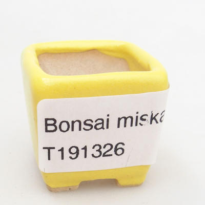 Mini bonsai miska 3 x 3 x 3 cm, farba žltá - 4