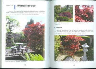 Kniha bonsai nielen v paneláku - 5